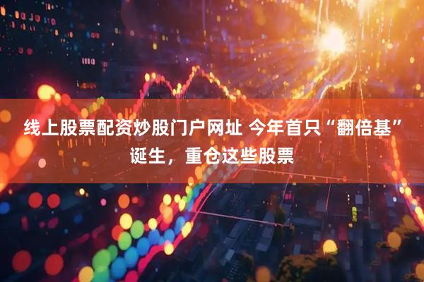 线上股票配资炒股门户网址 今年首只“翻倍基”诞生，重仓这些股票