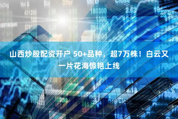 山西炒股配资开户 50+品种，超7万株！白云又一片花海惊艳上线